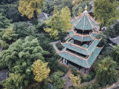 Wangjiang Tower Park