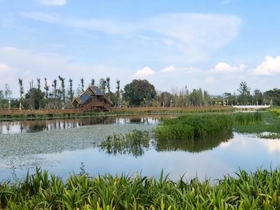 Dounan Wetland Park