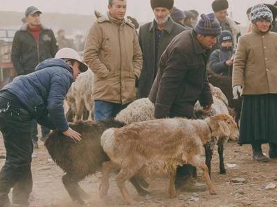 Kashgar Livestock Market (Niu Yang Da Ji)