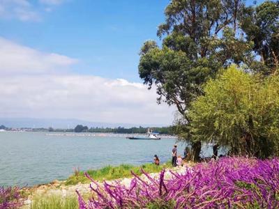 Xinghai Peninsula Wetland Park