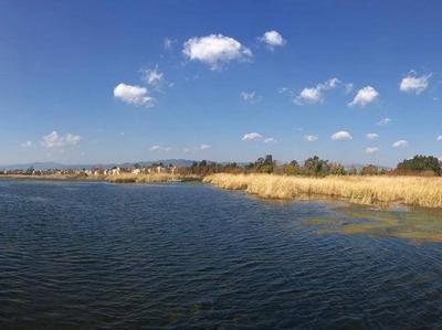 Dongdahe Wetland Park