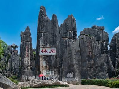 Stone Forest