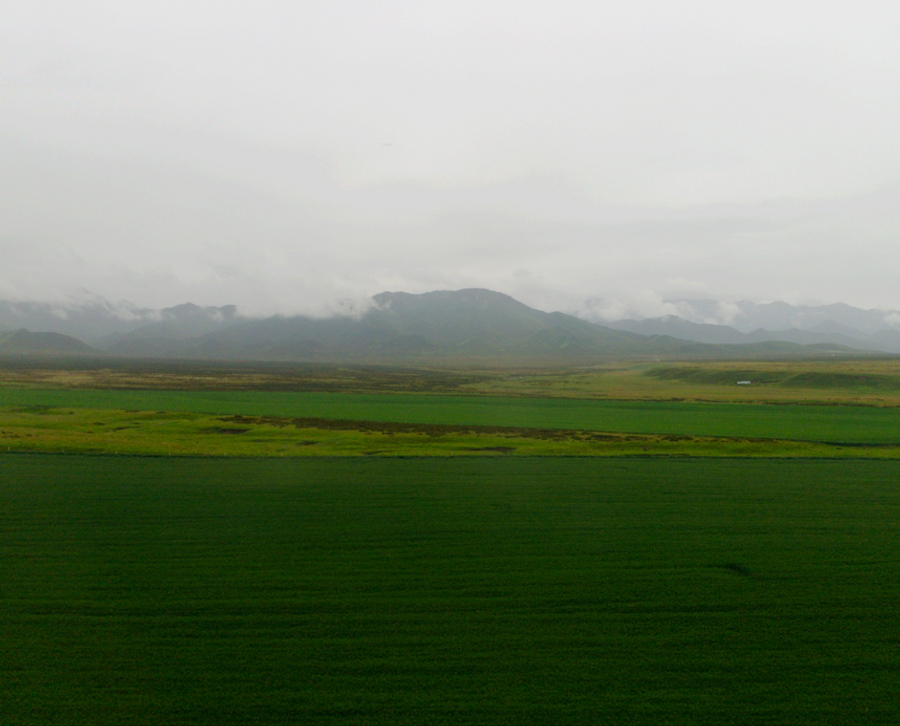 Gansu loop