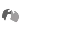 Losako Shop