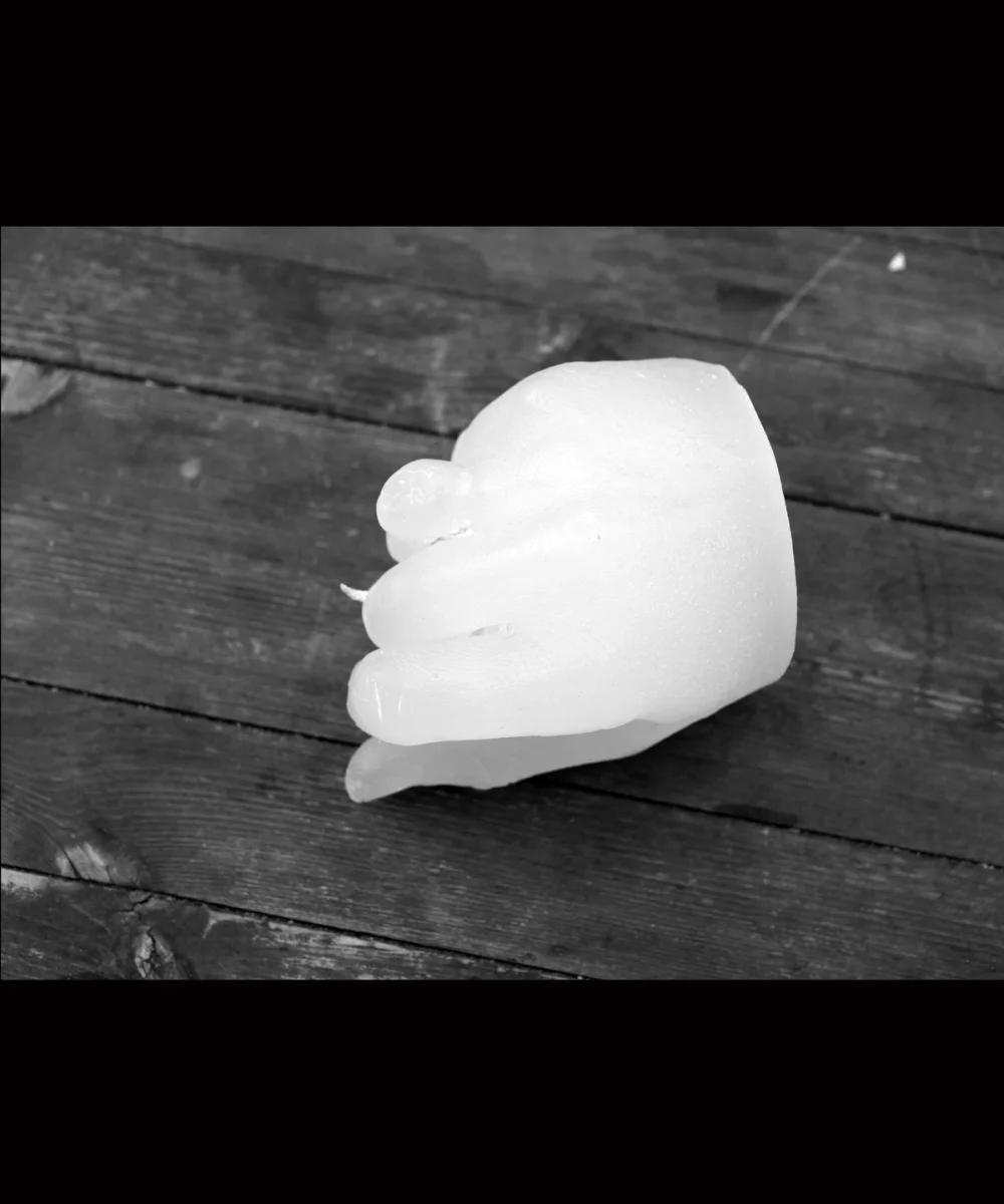 How to investigate about vampires