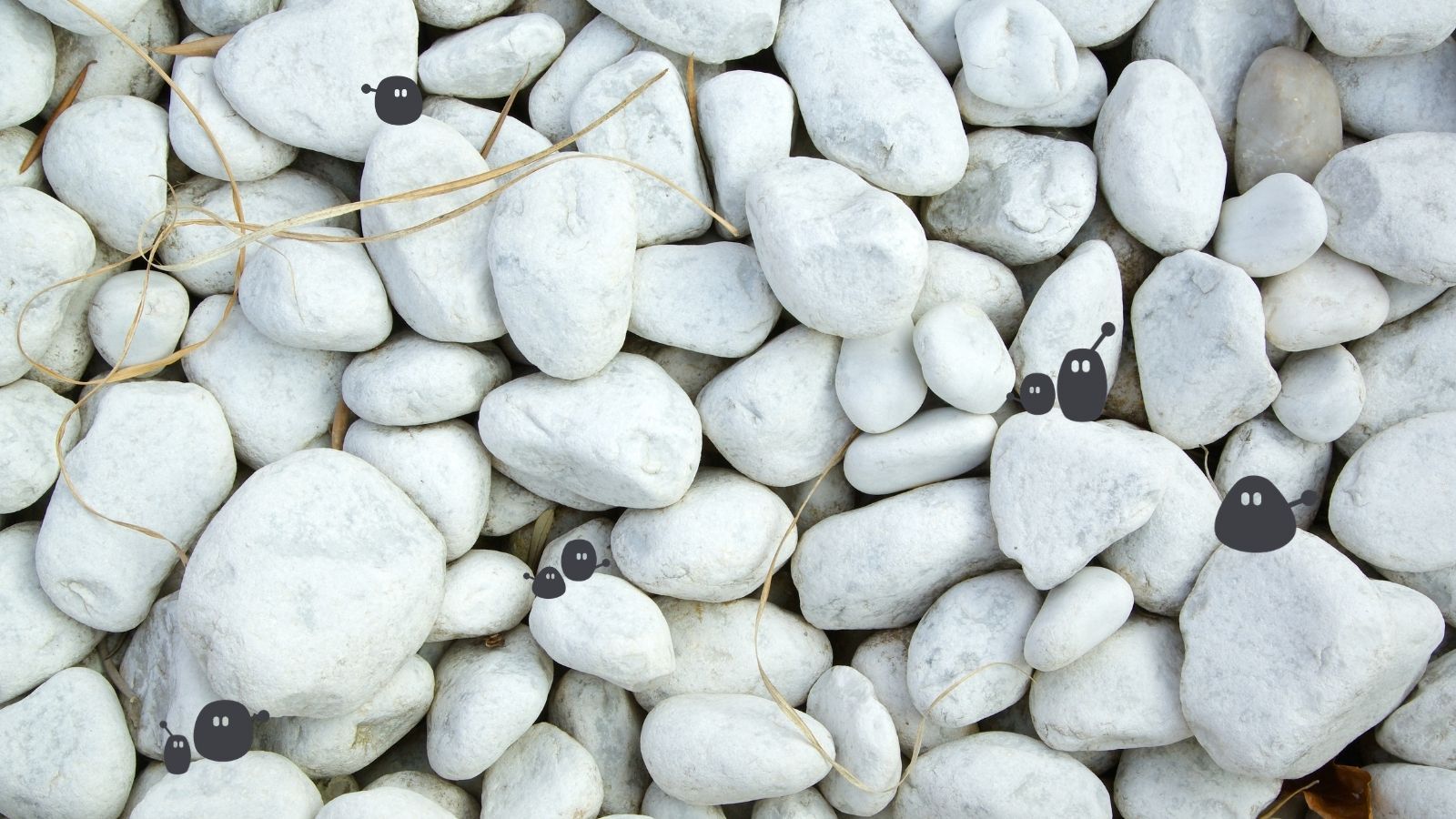 Pebbles with Emits, the little friends of our macot, Sondrine.