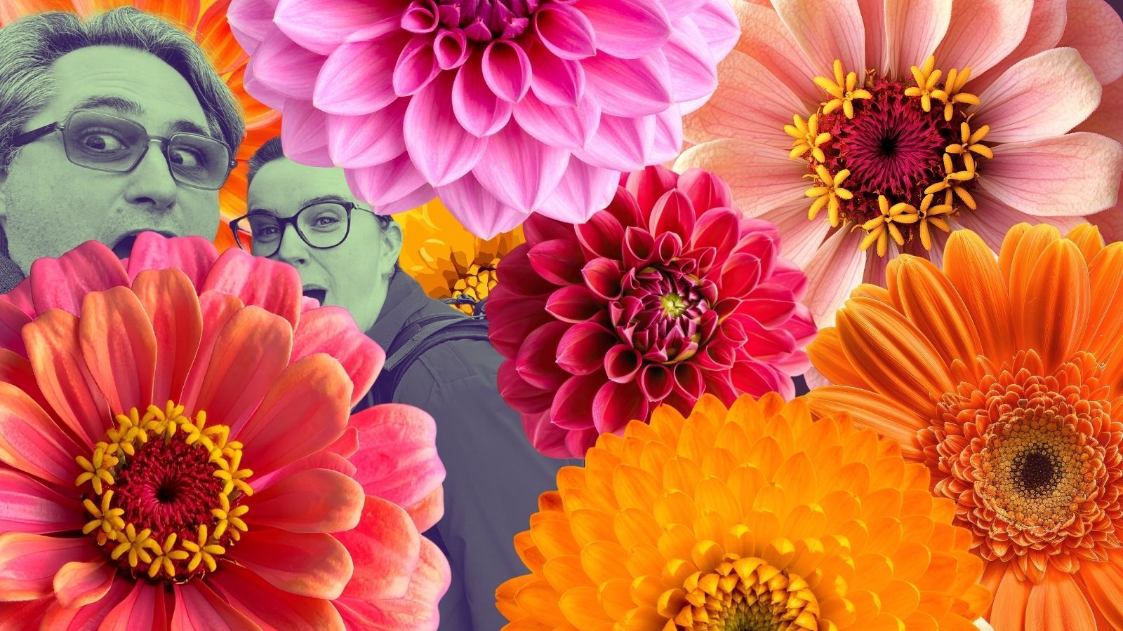 Lisa and Daniel hiding in a sea of flowers