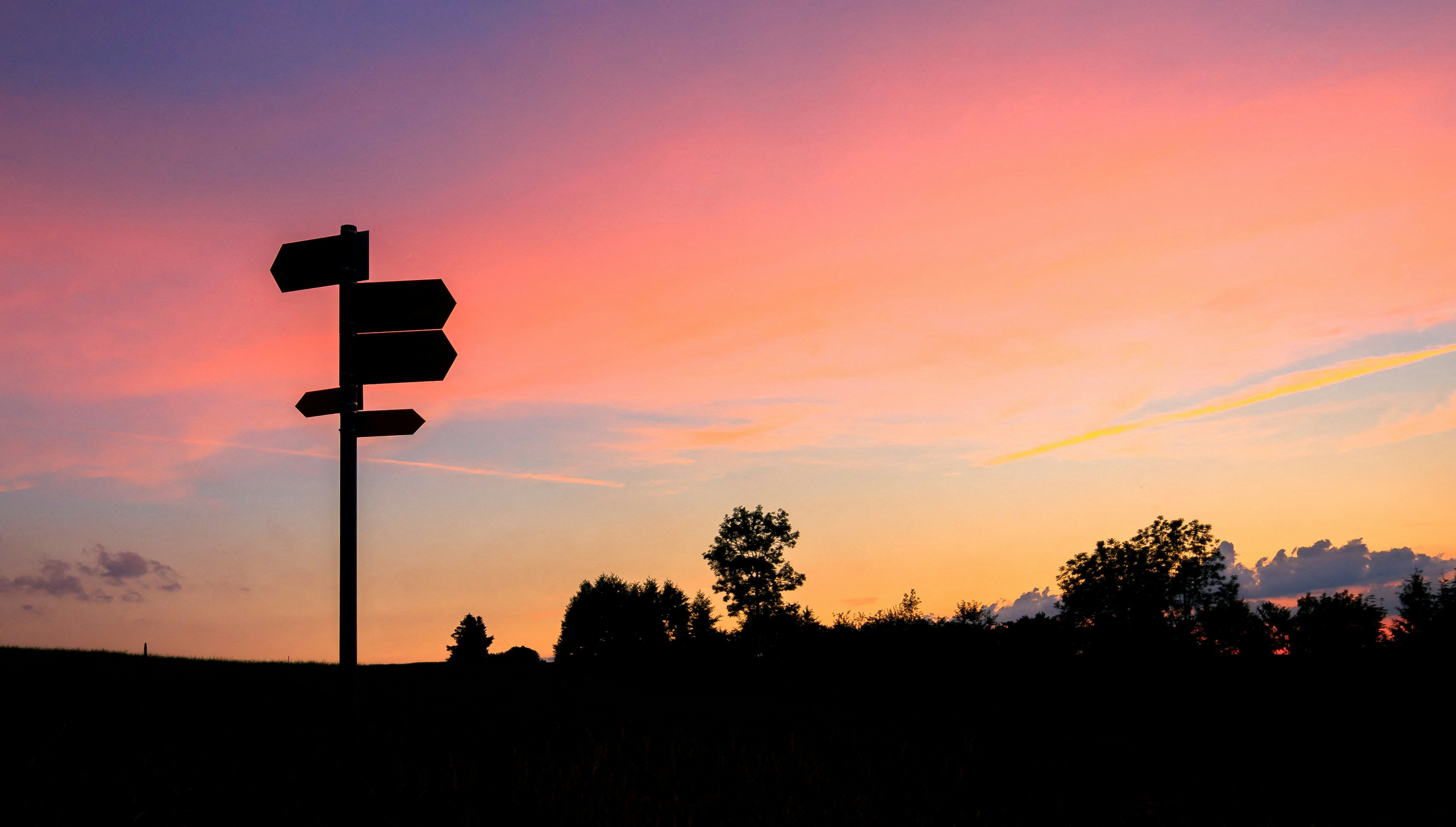 Sillhouette of trees and a road sign during sunset.