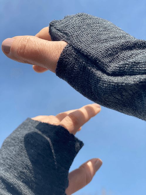 Pulser, Merino - view 2