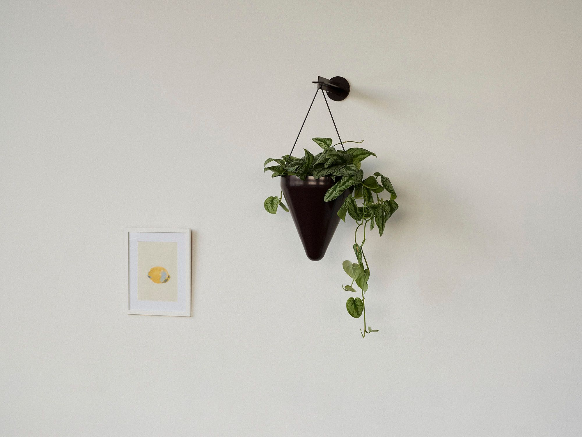Plus Planter Type B - Contemporary design hanging planter with a wall-mounted hanging bracket