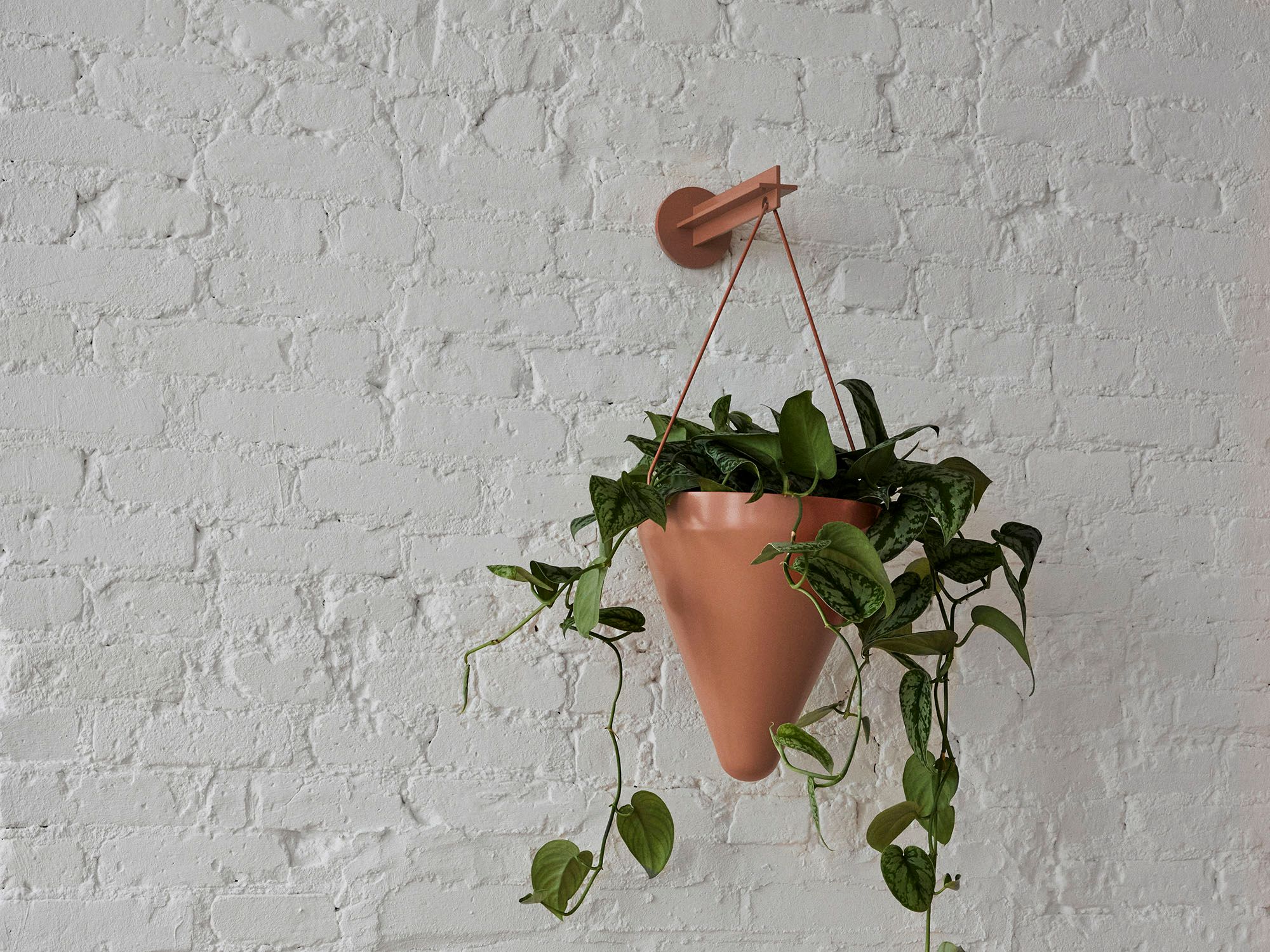 Plus Planter Type B - Contemporary design hanging planter with a wall-mounted hanging bracket