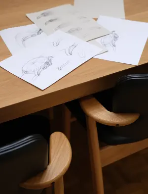 showroom-sketches-mobile