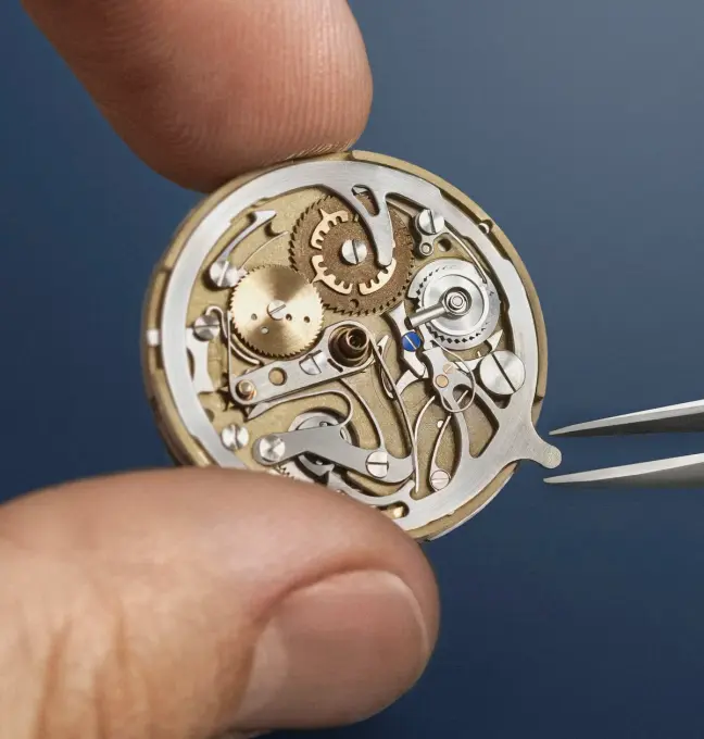 Furlan Marri Module of the Perpetual Secular Calendar for Only Watch