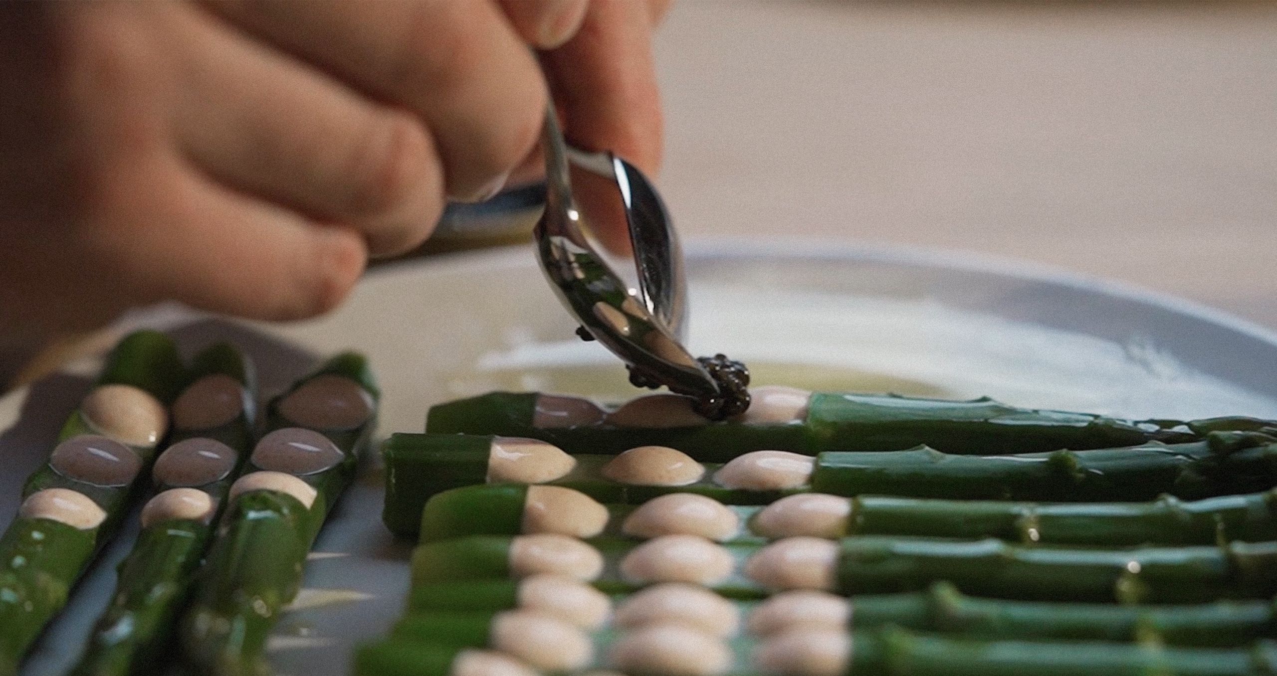 Furlan Marri Inside Fred