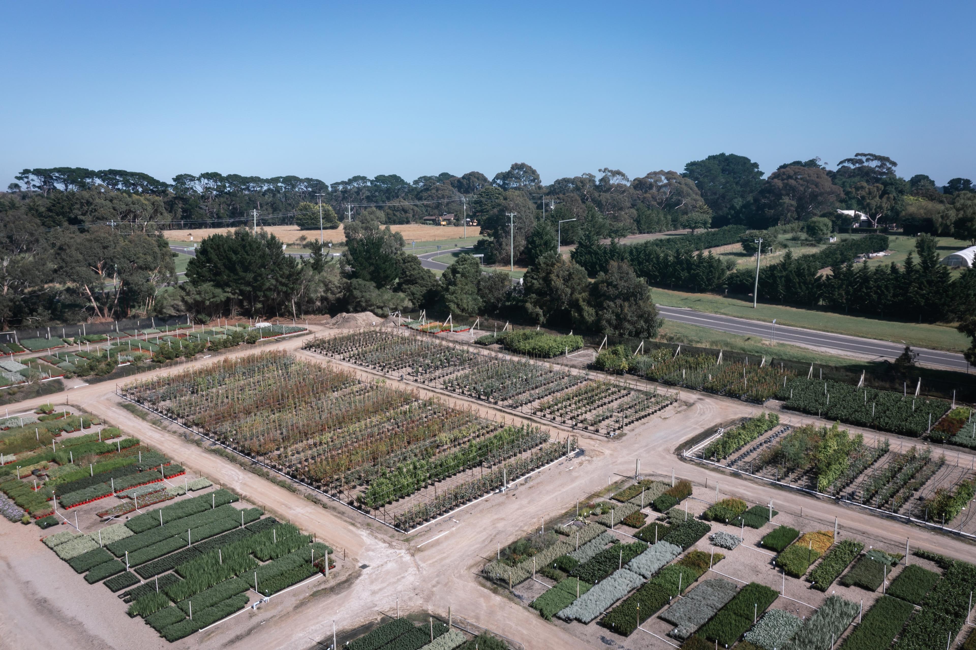 Aerial view of the Balnarring nursery