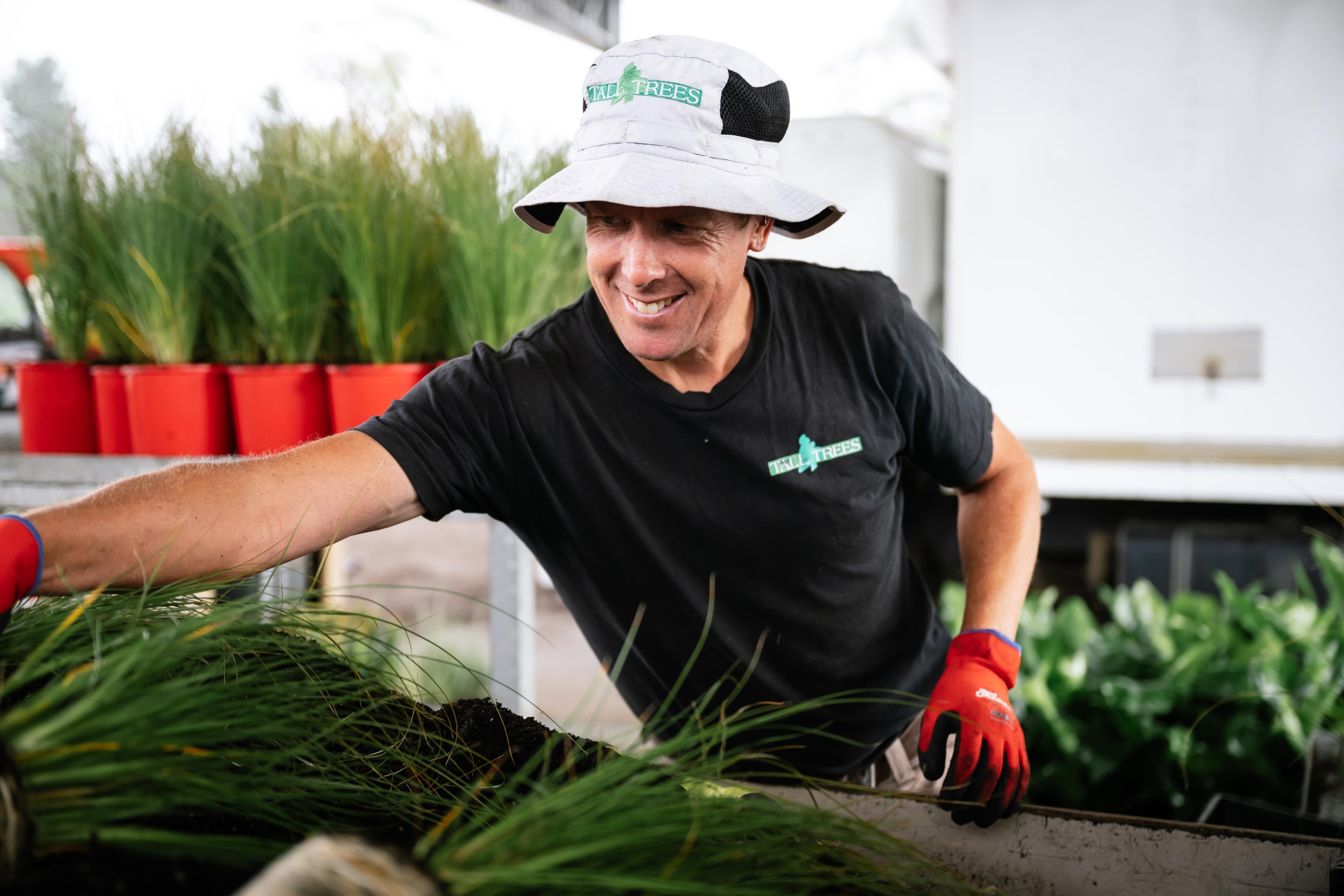 Staff member sorting ornamental grasses