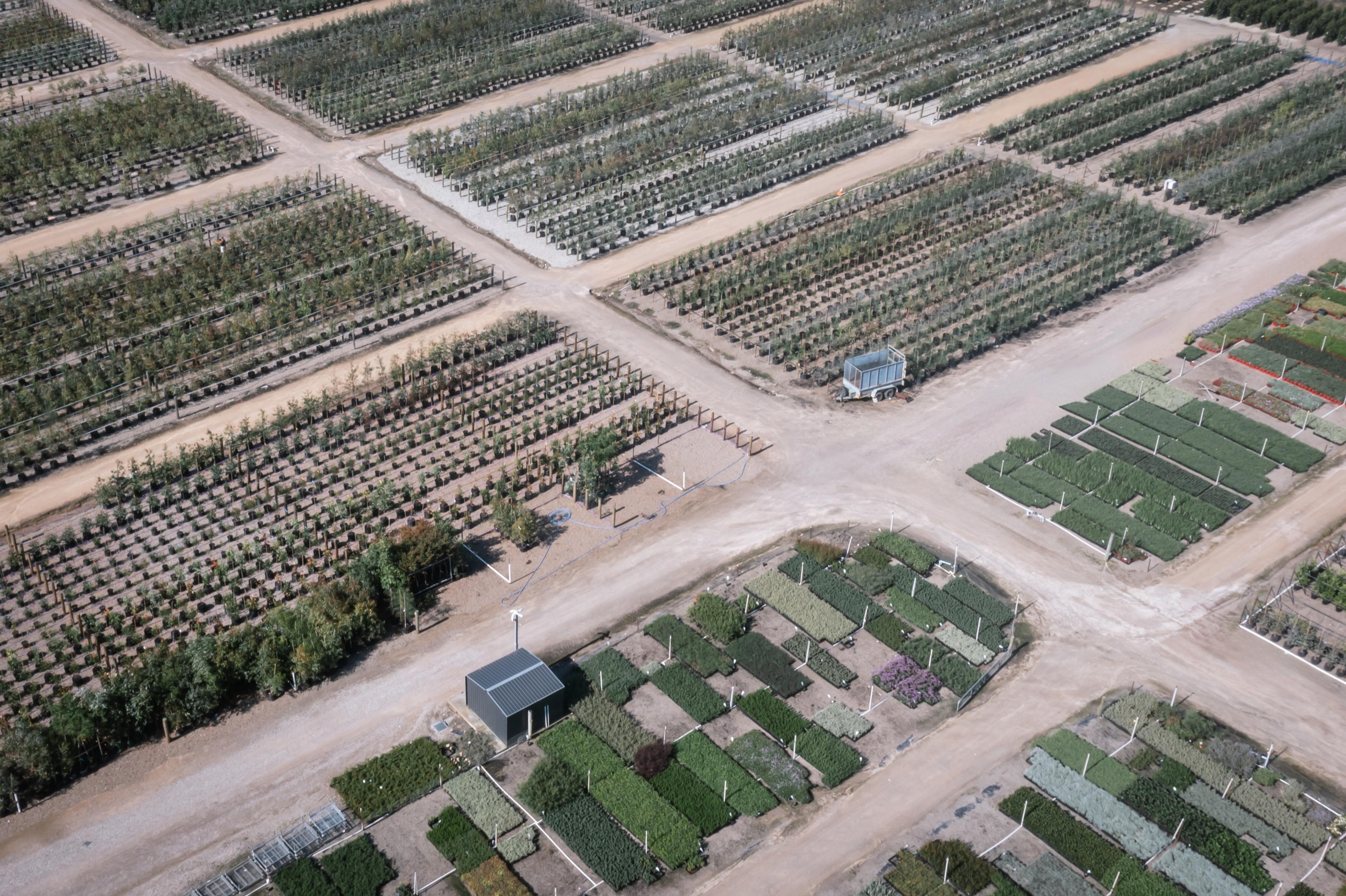 Aerial view of the nursery growing beds
