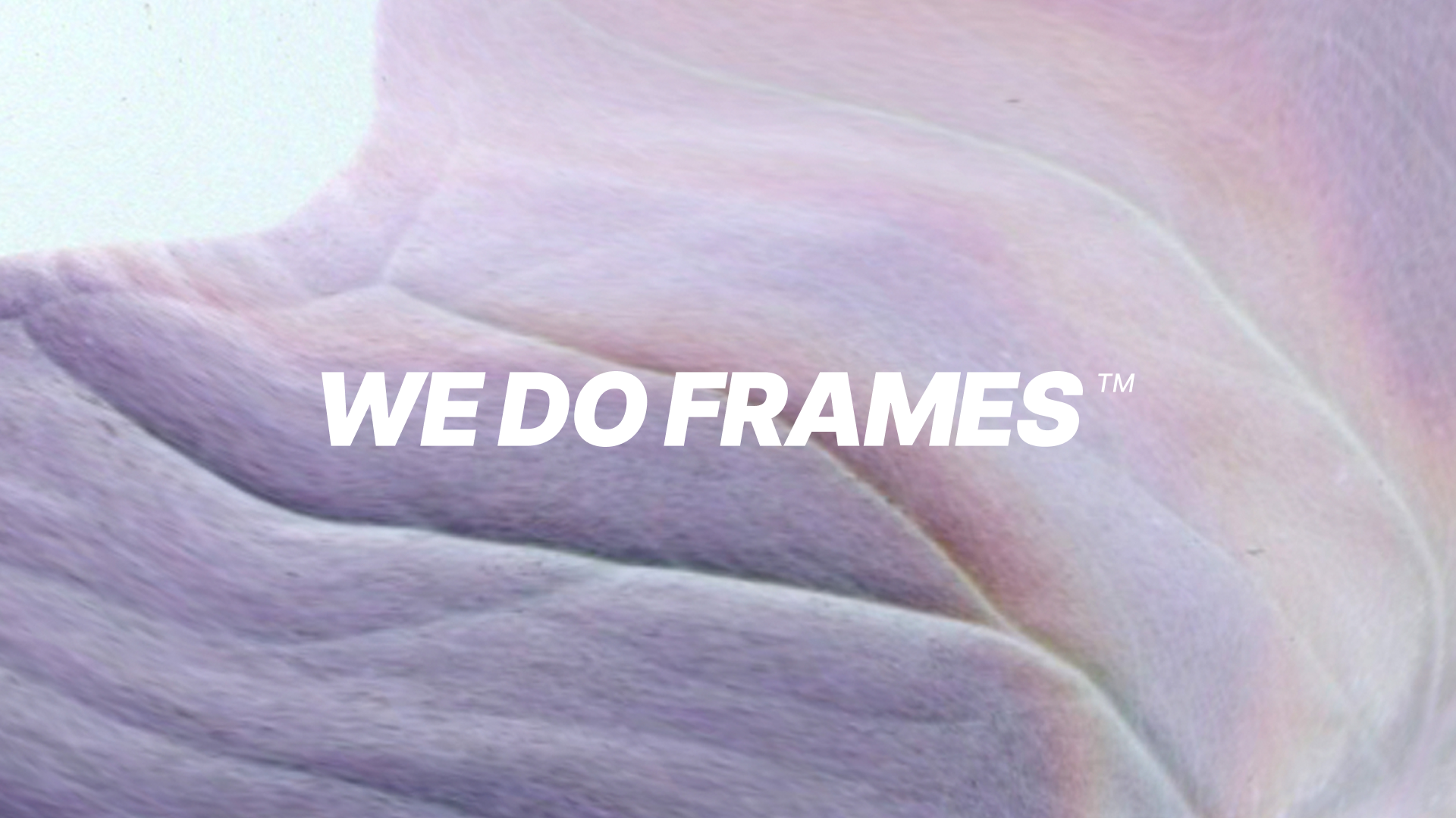 We Do Frames like no one else