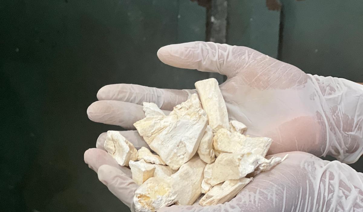Comment fonctionne la fabrication en marque blanche agroalimentaire ?