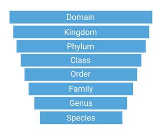 biological taxonomy