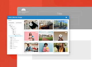 MediaValet Branded Portals