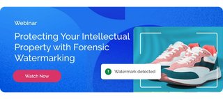 Watermarking Webinar