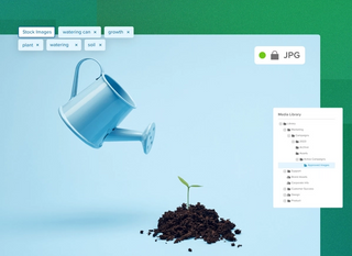 We scale with you as you grow