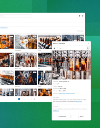a screenshot of a media library from an enterprise digital asset management system.