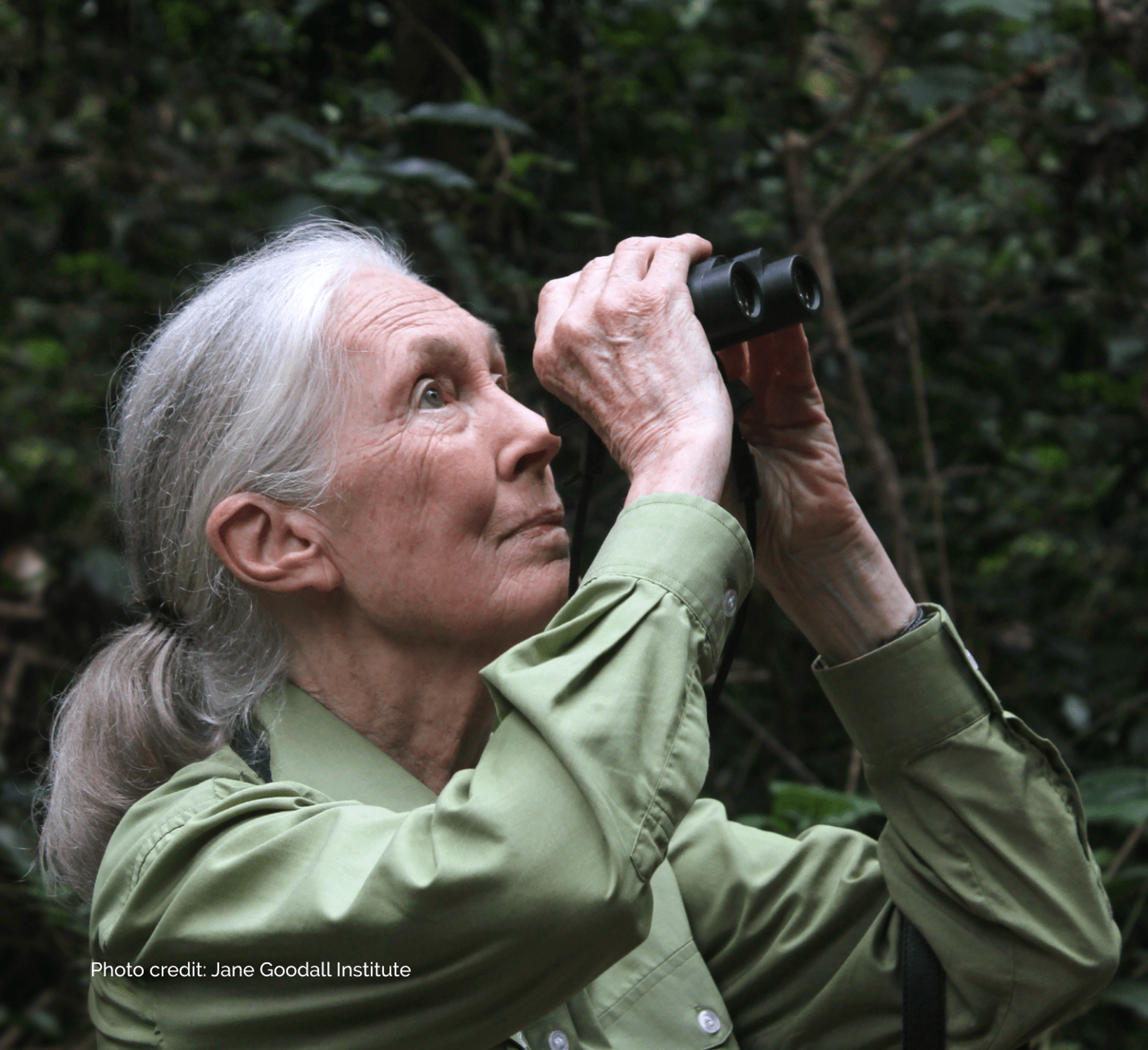 Jane Goodall in the forest wearing a green button-up skirt, looking through binoculars towards the sky