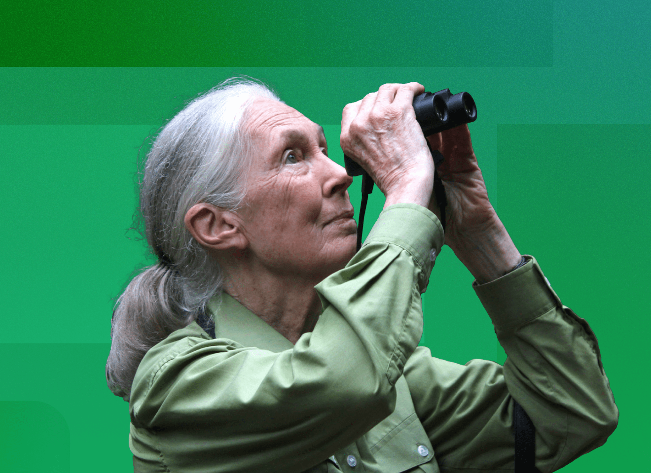 case study jane goodall