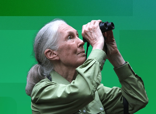 Jane Goodall in the forest wearing a green button-up skirt, looking through binoculars towards the sky