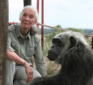 Jane Goodall with Gorilla