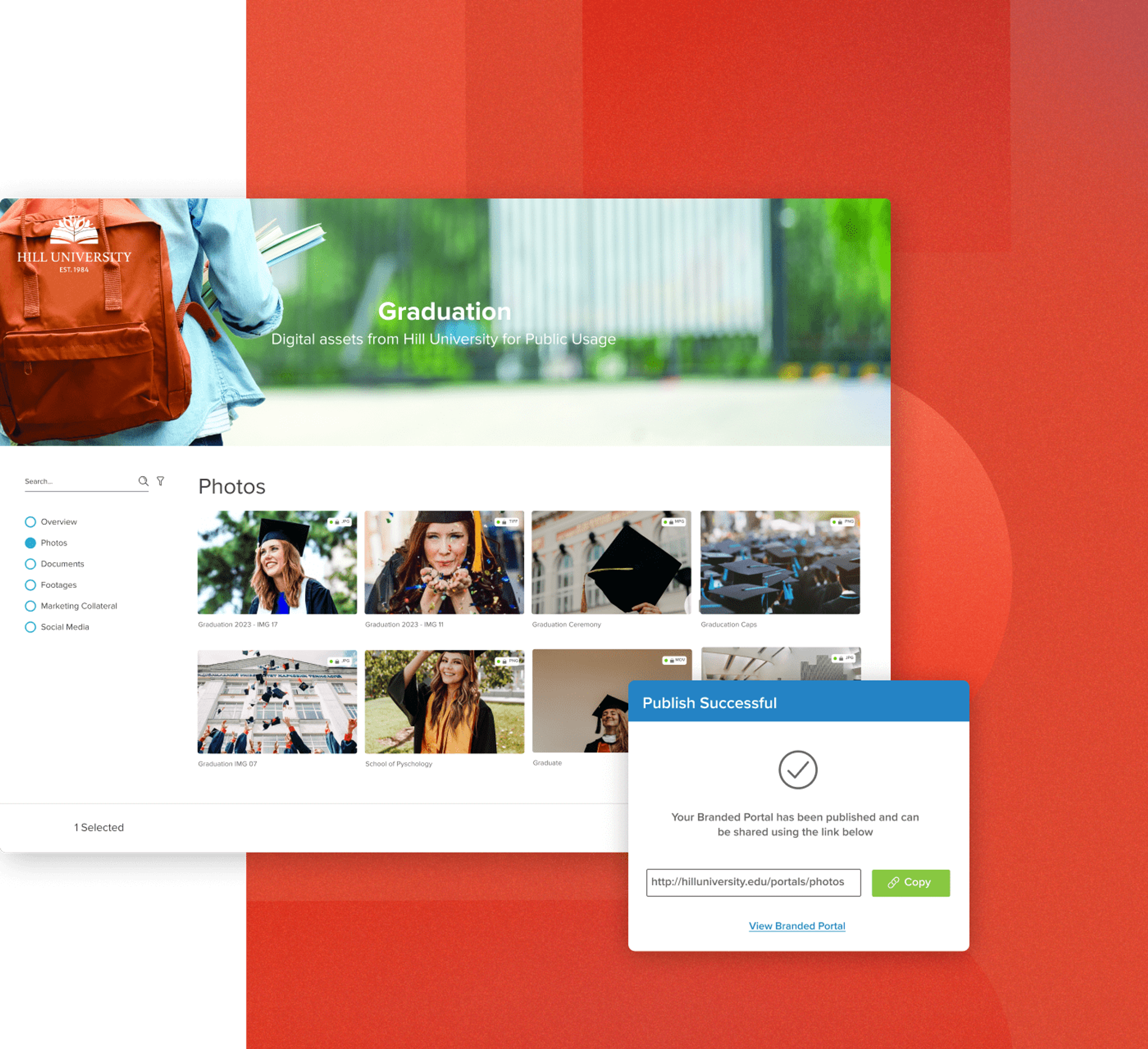 Present your assets through customizable portals