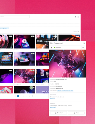 Reach new heights with a DAM partner at your side