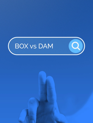 Box vs DAM: Is It Time for an Upgrade?