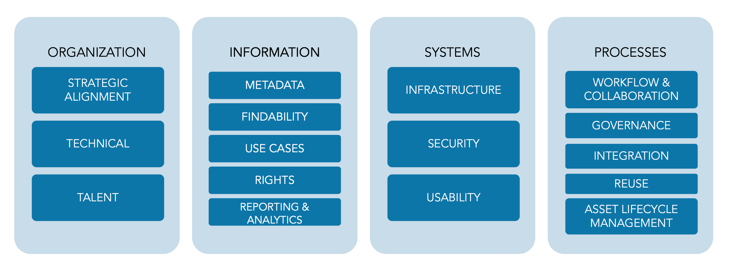 DAM Capability Model Screenshot
