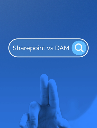 sharepoint vs DAM search bar