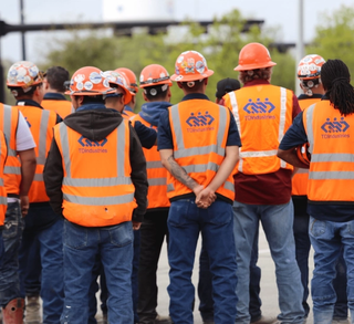 The backs of a group of construction working wearing safety vest and helmets looking at trees