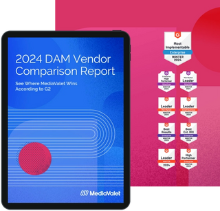 2024 DAM Vendor Comparison Report