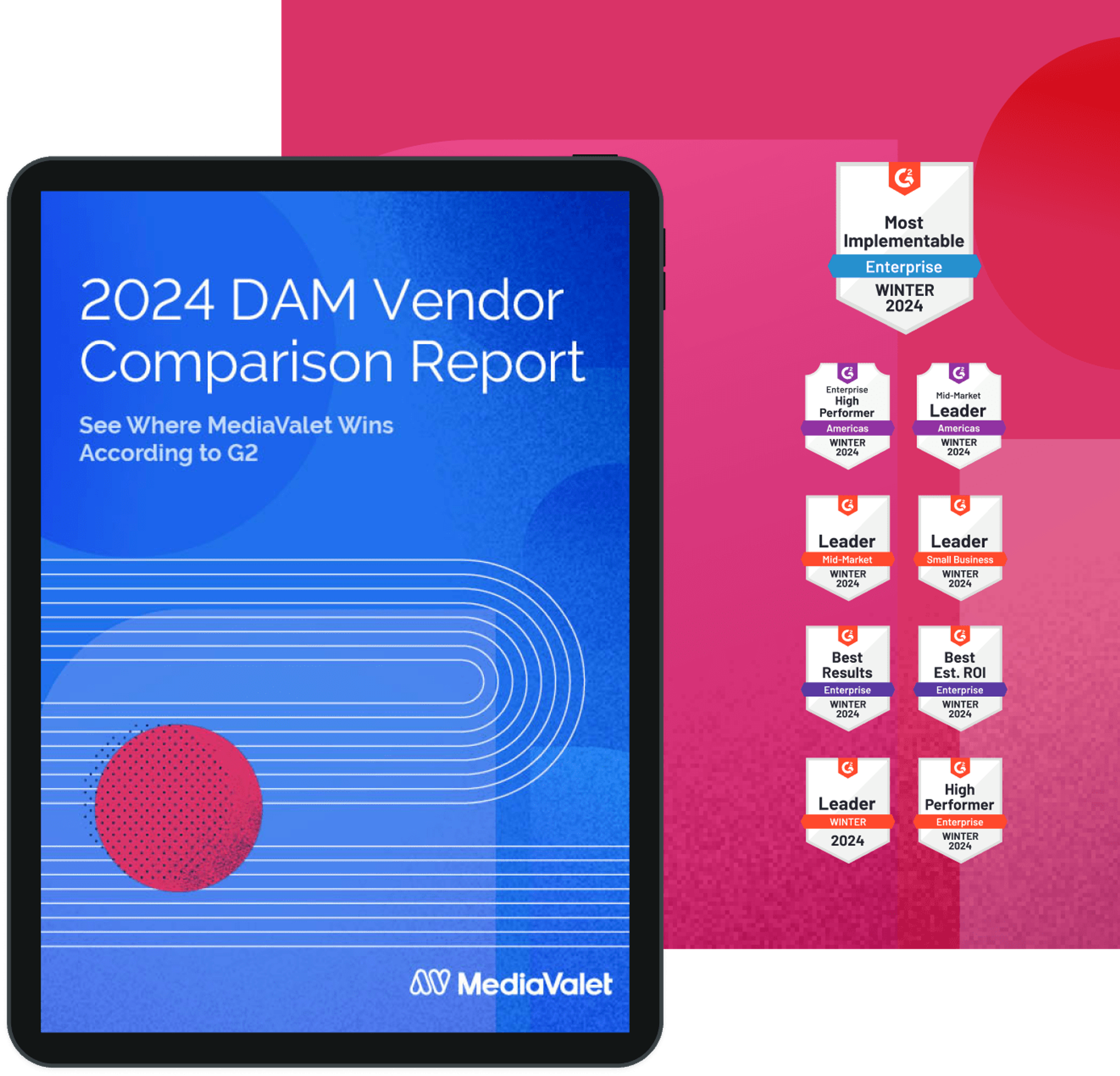 2024 DAM Vendor Comparison Report