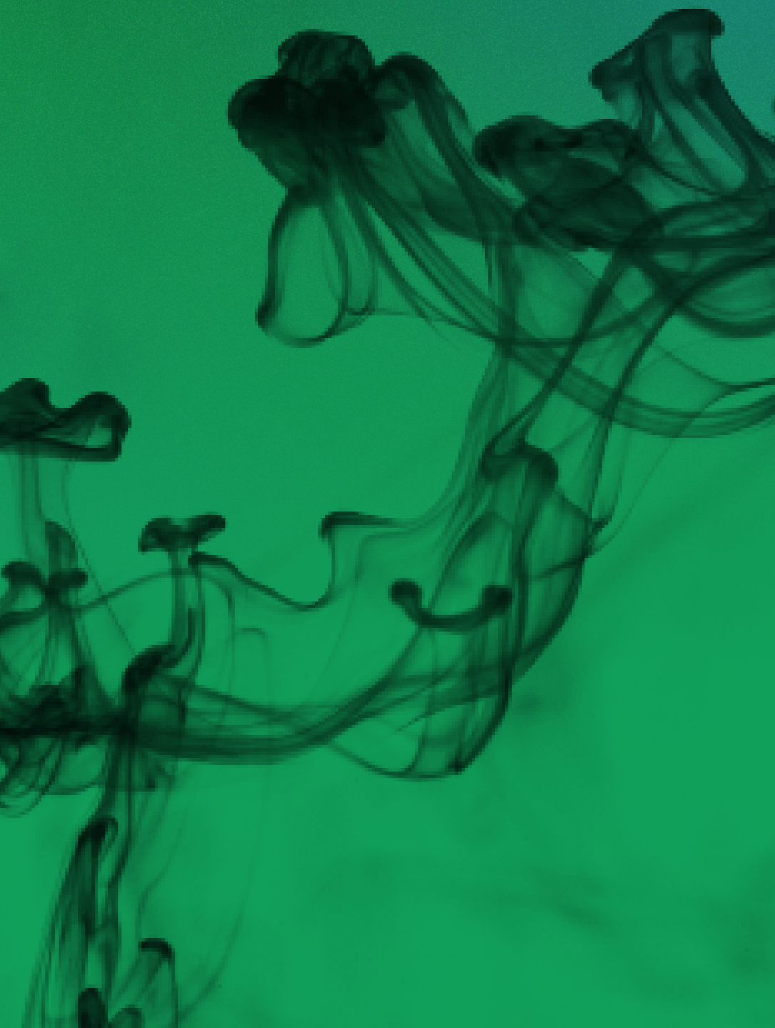 Brand Dilution Explained