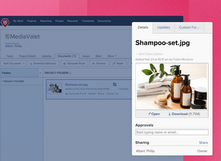 MediaValet project folder showing shampoo set in the UI with document details to edit on a pink background