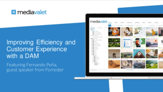 Improving Marketing Efficiency and Customer Experiences with DAM
