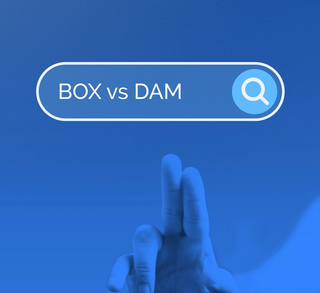 Box vs DAM: Is It Time for an Upgrade?