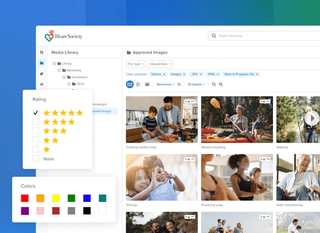 Media library for heart society with approved images of nonprofit images and videos with colours, ratings, and status of images on a blue and green
