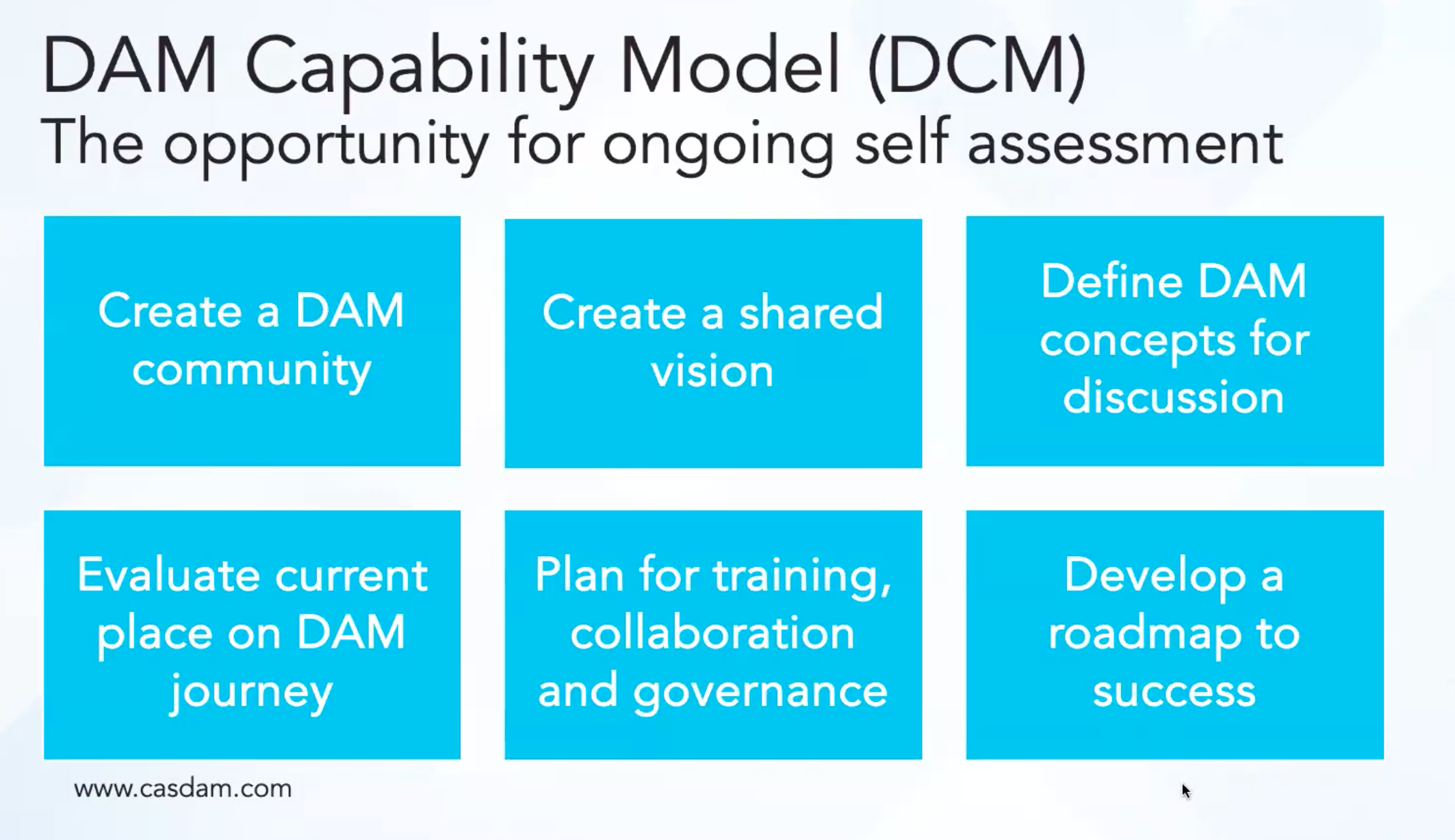 DAM Capability Model Self Assessment