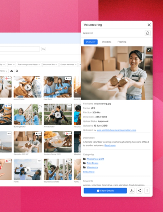 Digital asset management system media library of volunteering image gallery with a popup of approved images and details to download and share on a magenta background