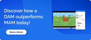 MAM Demo Request CTA