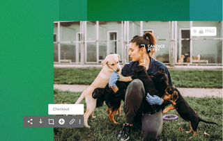Women playing with several small dogs in the grass with cages behind her on a geometric green background