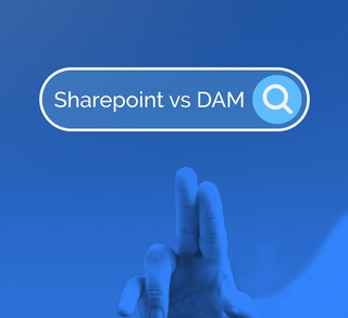 sharepoint vs DAM search bar